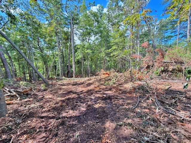 99999 Racquet Club Rd, Asheville, NC 28803 - photo 11