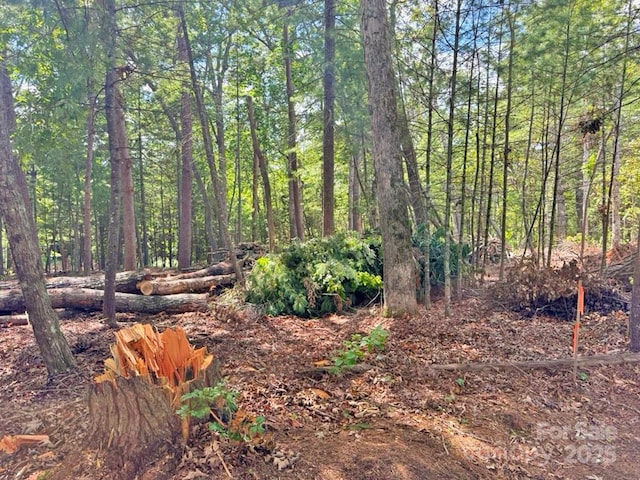 99999 Racquet Club Rd, Asheville, NC 28803 - photo 12