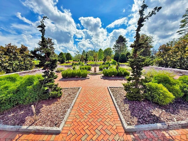99999 Racquet Club Rd, Asheville, NC 28803 - photo 17