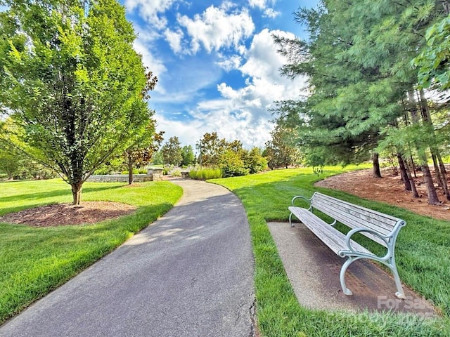 99999 Racquet Club Rd, Asheville, NC 28803 - photo 18
