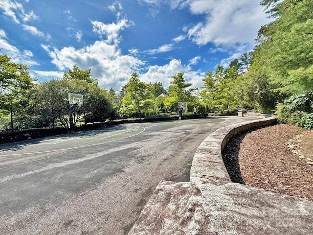99999 Racquet Club Rd, Asheville, NC 28803 - photo 19