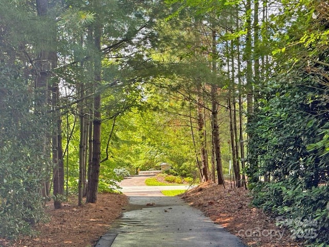 99999 Racquet Club Rd, Asheville, NC 28803 - photo 22