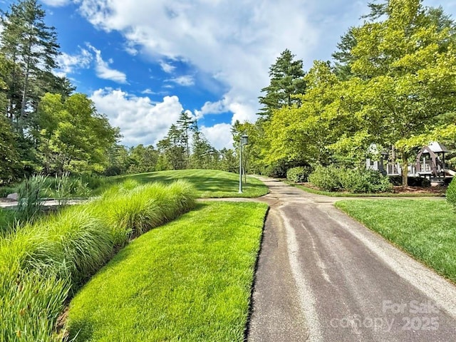 99999 Racquet Club Rd, Asheville, NC 28803 - photo 23