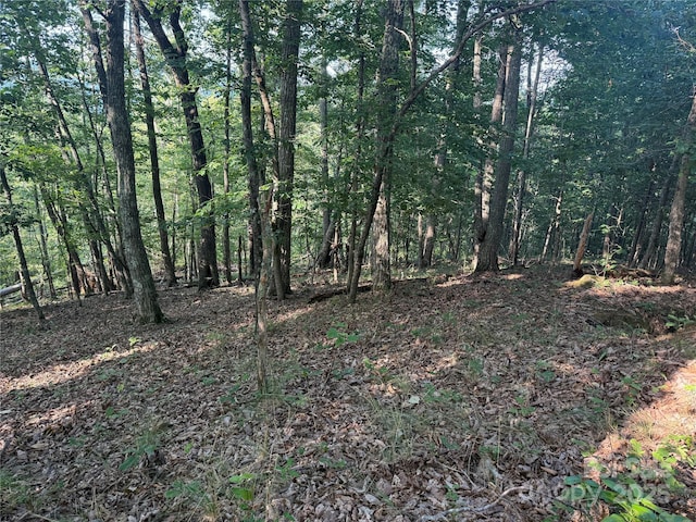 LOT332 Scenic Vista Dr Unit 332, Nebo, NC 28761 - photo 6