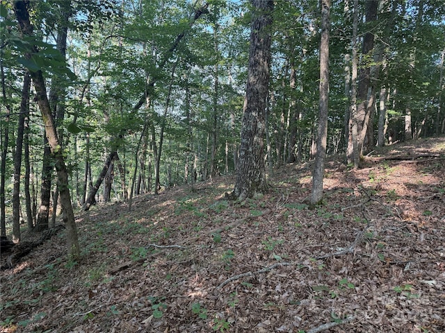 LOT332 Scenic Vista Dr Unit 332, Nebo, NC 28761 - photo 10