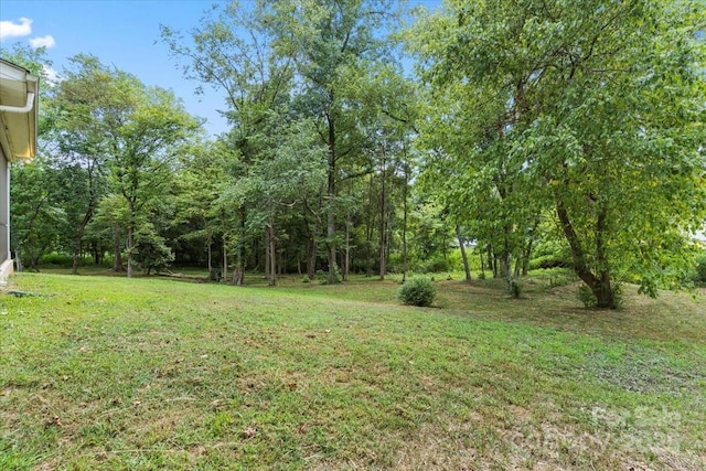 221 Burree Rd, Clover, SC 26971 - photo 44