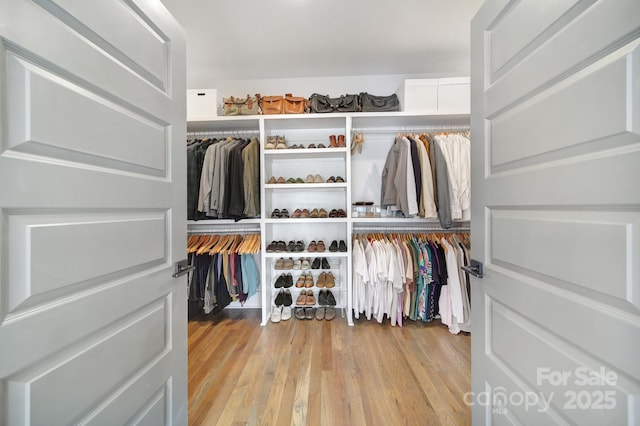 1813 Kenwood Ave, Charlotte, NC 28205 - photo 39