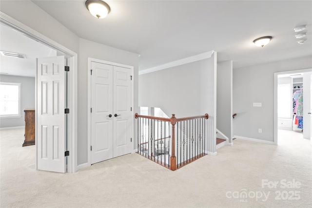 10951 Hat Creek Ln, Davidson, NC 28036 - photo 21