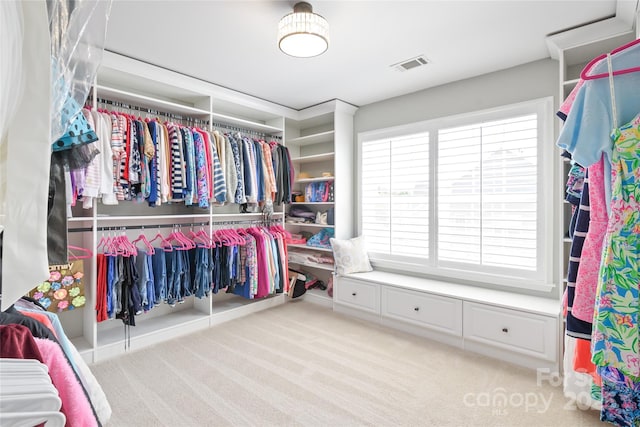 10951 Hat Creek Ln, Davidson, NC 28036 - photo 29