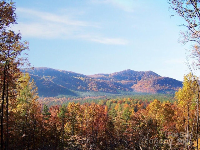 LOT333 Scenic Vista Dr Unit 333, Nebo, NC 28761 - photo 1