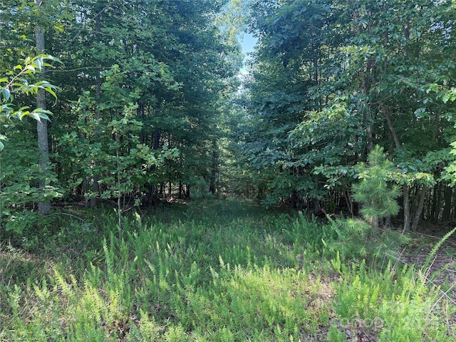 LOT333 Scenic Vista Dr Unit 333, Nebo, NC 28761 - photo 2