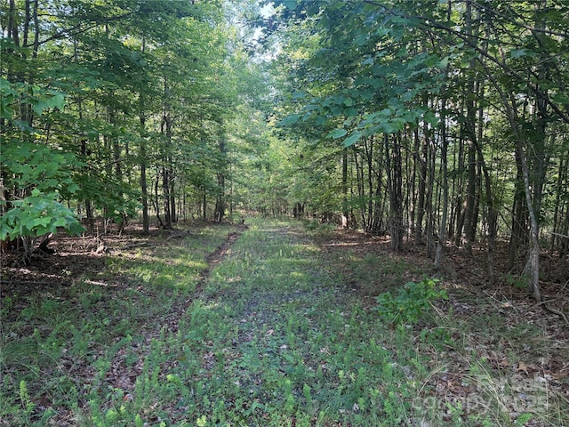 LOT333 Scenic Vista Dr Unit 333, Nebo, NC 28761 - photo 3