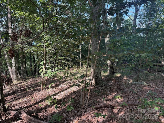 LOT333 Scenic Vista Dr Unit 333, Nebo, NC 28761 - photo 4