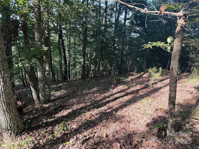 LOT333 Scenic Vista Dr Unit 333, Nebo, NC 28761 - photo 5