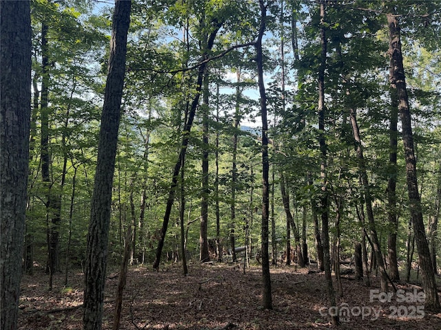 LOT333 Scenic Vista Dr Unit 333, Nebo, NC 28761 - photo 7