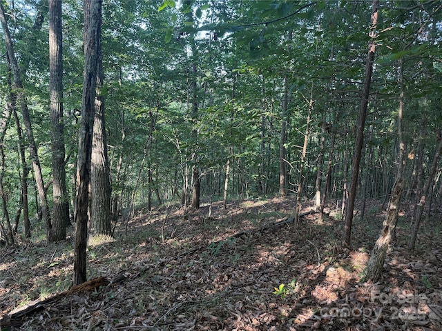 LOT333 Scenic Vista Dr Unit 333, Nebo, NC 28761 - photo 8
