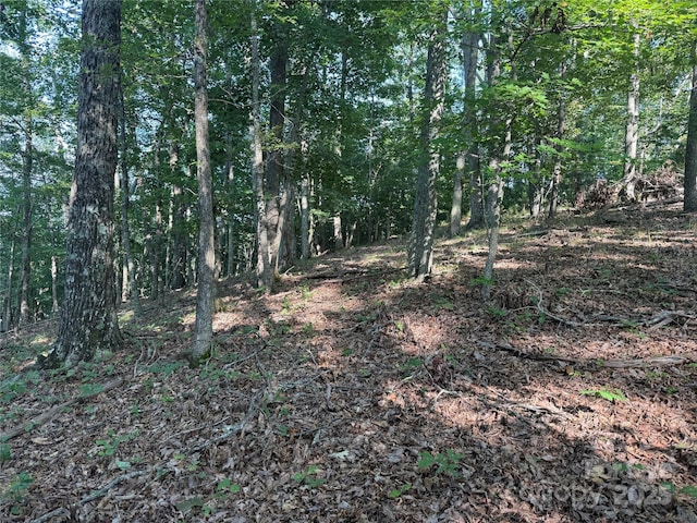 LOT333 Scenic Vista Dr Unit 333, Nebo, NC 28761 - photo 9