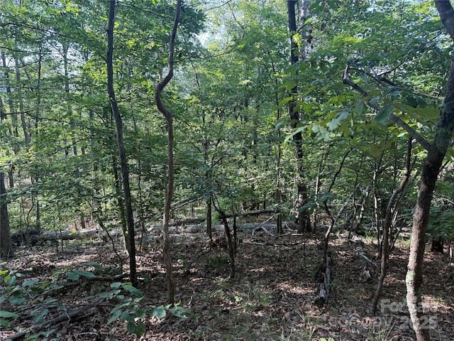 LOT333 Scenic Vista Dr Unit 333, Nebo, NC 28761 - photo 11