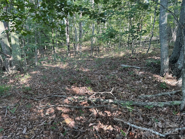 LOT333 Scenic Vista Dr Unit 333, Nebo, NC 28761 - photo 12