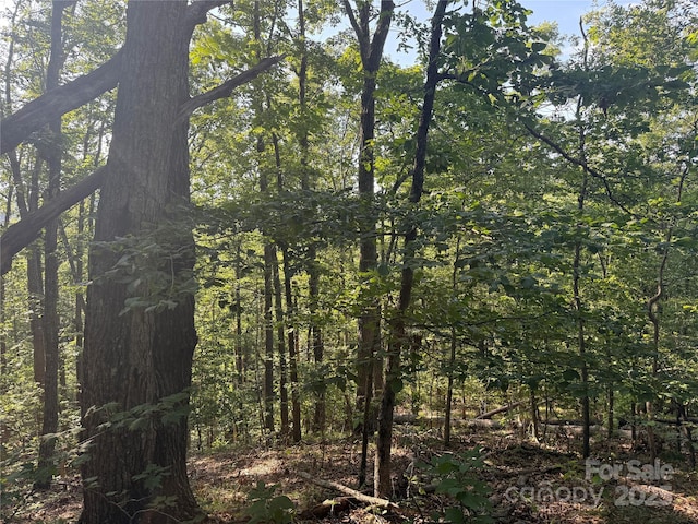 LOT333 Scenic Vista Dr Unit 333, Nebo, NC 28761 - photo 13