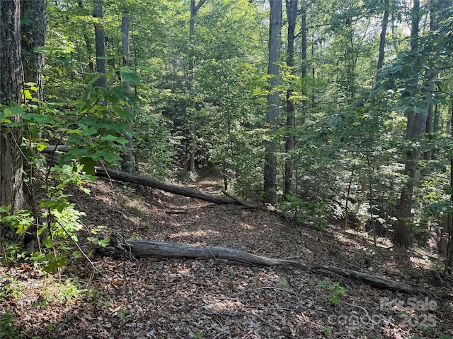 LOT333 Scenic Vista Dr Unit 333, Nebo, NC 28761 - photo 14