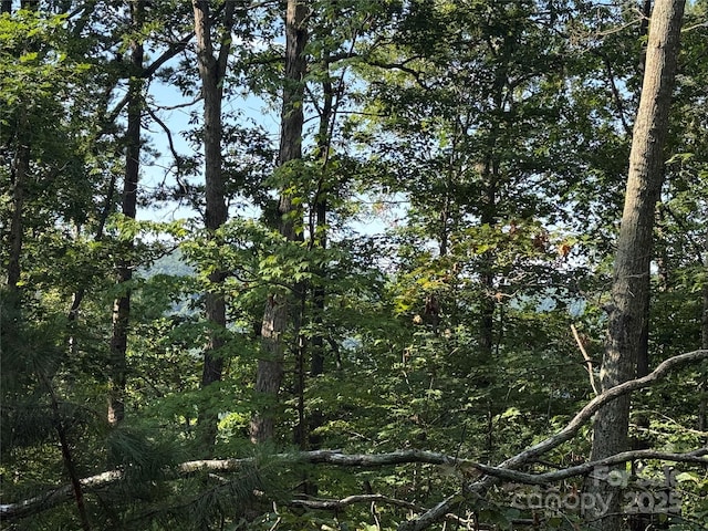 LOT333 Scenic Vista Dr Unit 333, Nebo, NC 28761 - photo 15