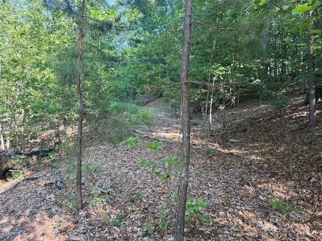 LOT333 Scenic Vista Dr Unit 333, Nebo, NC 28761 - photo 16