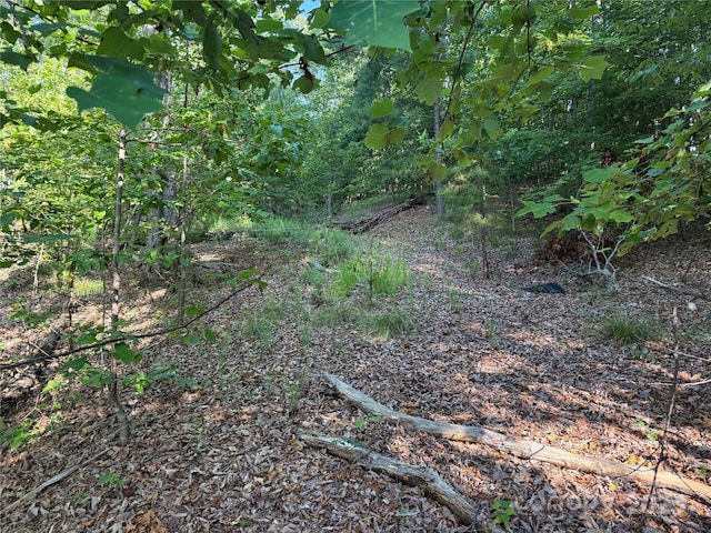 LOT333 Scenic Vista Dr Unit 333, Nebo, NC 28761 - photo 17