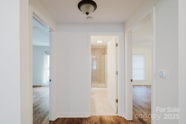 1726 Medford Dr, Charlotte, NC 28205 - photo 16