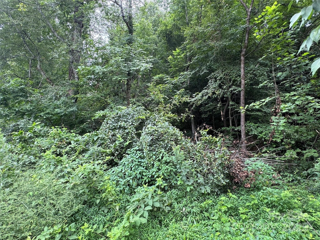 0 Memorial Hwy, Lake Lure, NC 28746 - photo 2