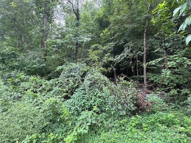 0 Memorial Hwy, Lake Lure, NC 28746 - photo 2