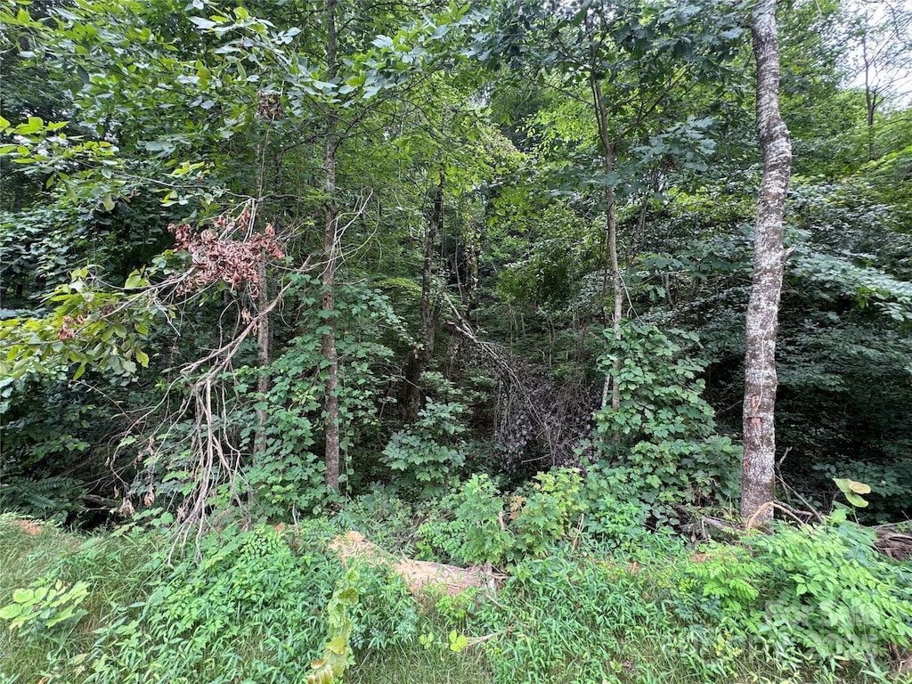 0 Memorial Hwy, Lake Lure, NC 28746 - photo 3