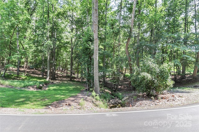 372 Kenway Loop, Mooresville, NC 28117 - photo 10