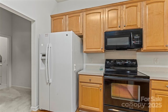 13306 Flowing Brook Ct, Charlotte, NC 28273 - photo 5