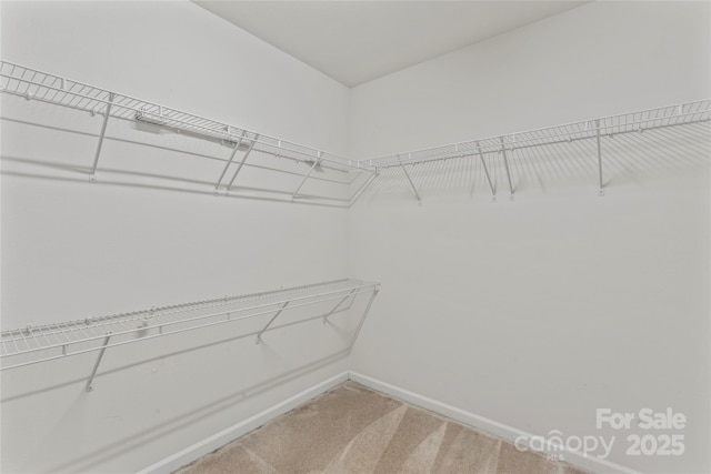 13306 Flowing Brook Ct, Charlotte, NC 28273 - photo 27