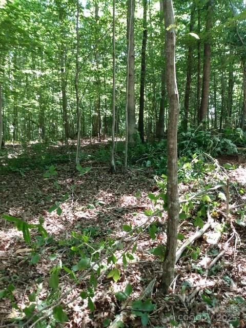 0 Winter Park Dr, Shelby, NC 28152 - photo 16