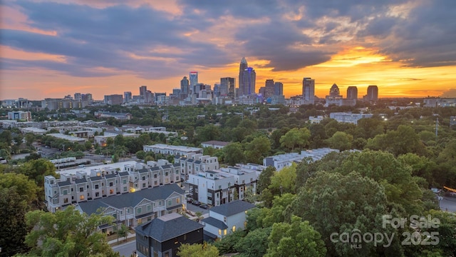 913 Van Every St, Charlotte, NC 28205 - photo 2