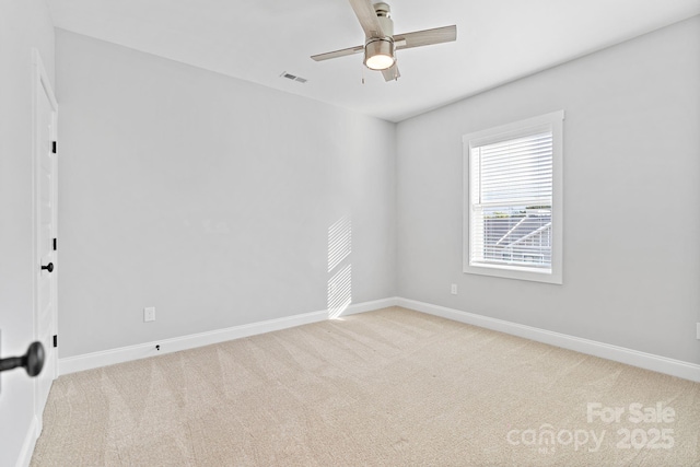 913 Van Every St, Charlotte, NC 28205 - photo 29