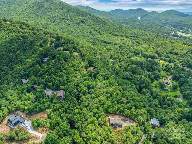 99999 Old Toll Rd Unit 81Cotr, Black Mountain, NC 28711 - photo 1
