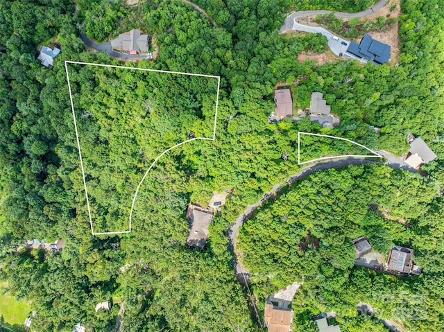 99999 Old Toll Rd Unit 81Cotr, Black Mountain, NC 28711 - photo 4