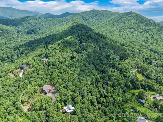 99999 Old Toll Rd Unit 81Cotr, Black Mountain, NC 28711 - photo 5