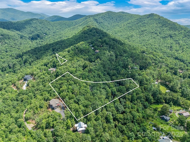 99999 Old Toll Rd Unit 81Cotr, Black Mountain, NC 28711 - photo 6