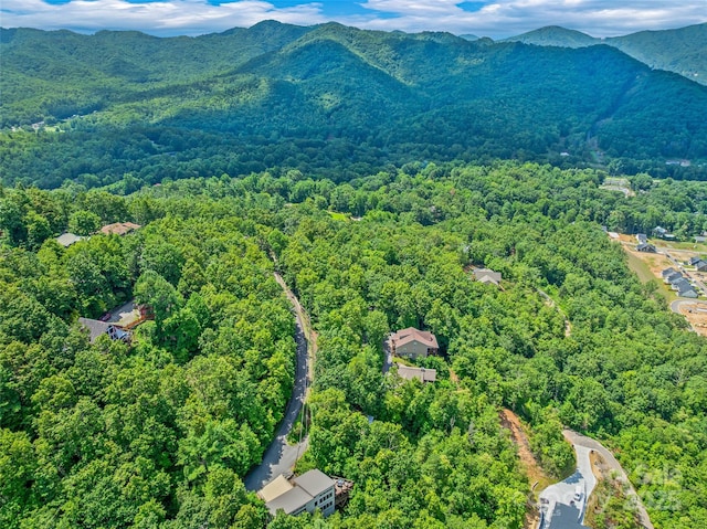 99999 Old Toll Rd Unit 81Cotr, Black Mountain, NC 28711 - photo 7