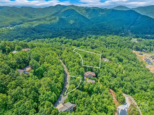 99999 Old Toll Rd Unit 81Cotr, Black Mountain, NC 28711 - photo 8