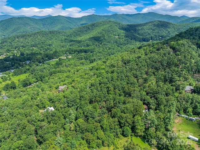99999 Old Toll Rd Unit 81Cotr, Black Mountain, NC 28711 - photo 9