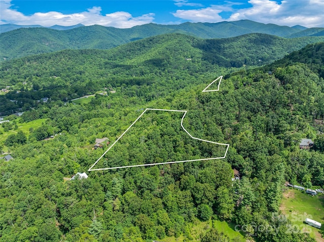 99999 Old Toll Rd Unit 81Cotr, Black Mountain, NC 28711 - photo 10
