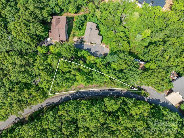 99999 Old Toll Rd Unit 81Cotr, Black Mountain, NC 28711 - photo 12