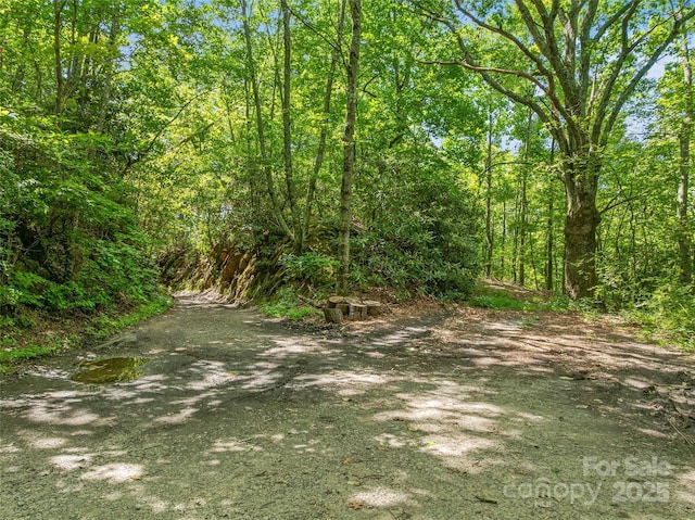 99999 Old Toll Rd Unit 81Cotr, Black Mountain, NC 28711 - photo 17