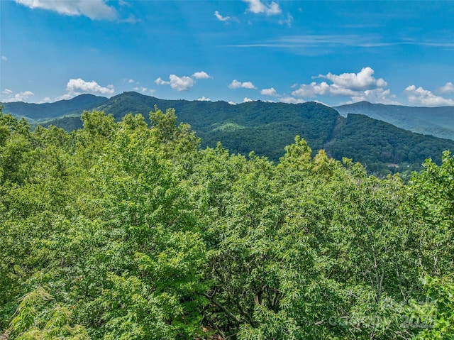 99999 Old Toll Rd Unit 81Cotr, Black Mountain, NC 28711 - photo 18