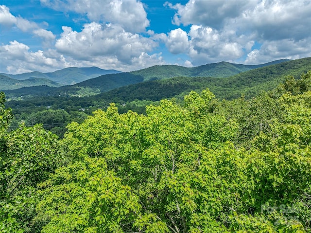 99999 Old Toll Rd Unit 81Cotr, Black Mountain, NC 28711 - photo 19